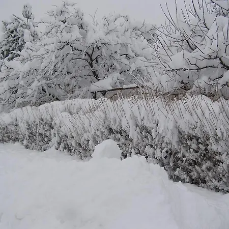 Privat Liptov 11 Liptovský Mikuláš