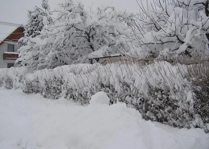 Privat Liptov 11 Liptovský Mikuláš